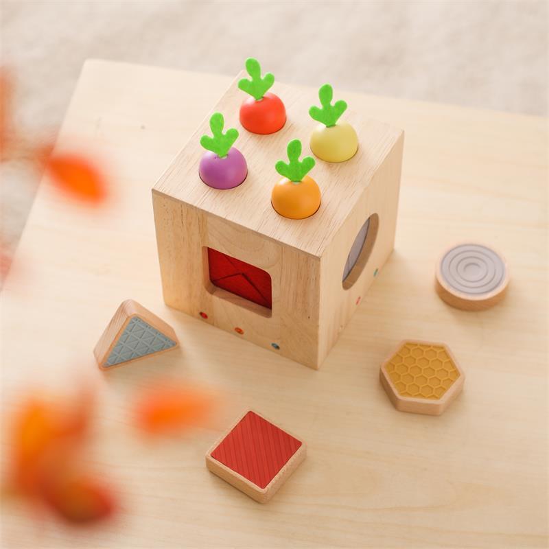 Wooden Geometric Cast Shape Educational Toy