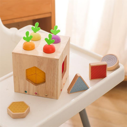 Wooden Geometric Cast Shape Educational Toy