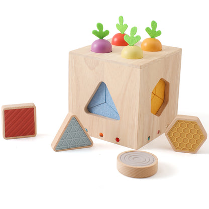 Wooden Geometric Cast Shape Educational Toy